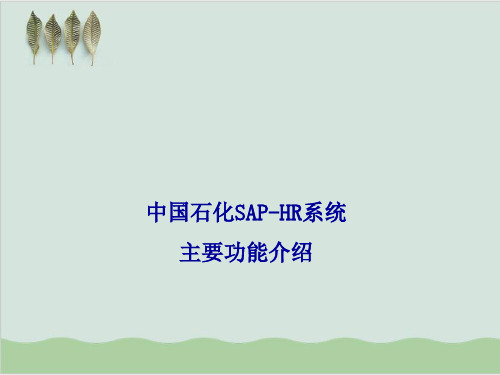 某集团SAP-HR系统主要功能介绍PPT课件(78页)