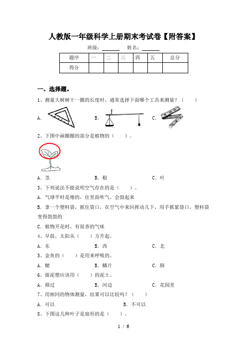 人教版一年级科学上册期末考试卷【附答案】