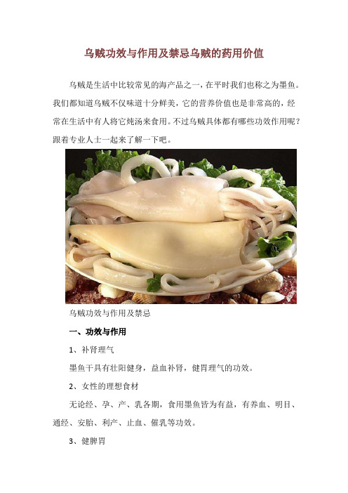 乌贼功效与作用及禁忌 乌贼的药用价值