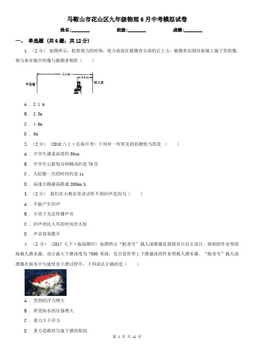 马鞍山市花山区九年级物理6月中考模拟试卷