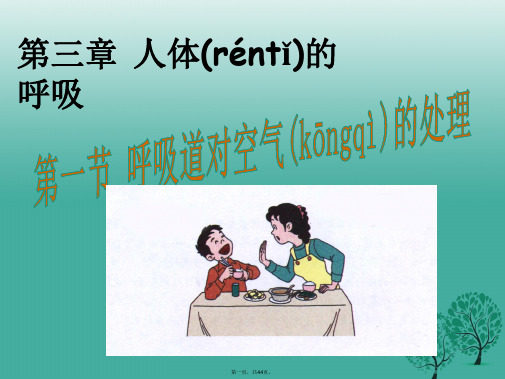 七年级生物下册第3章第1节呼吸道对空气的处理课件(新版)新人教版