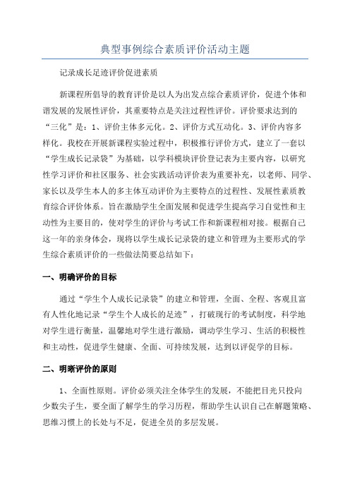 典型事例综合素质评价活动主题