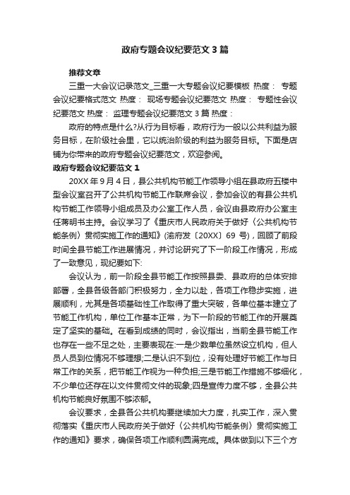 政府专题会议纪要范文3篇