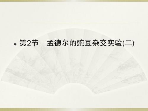 2012届高考生物第一轮知识点复习课件40