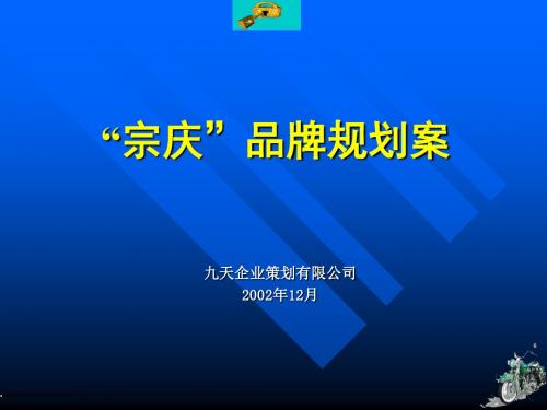 某公司品牌规划案(PPT67张)