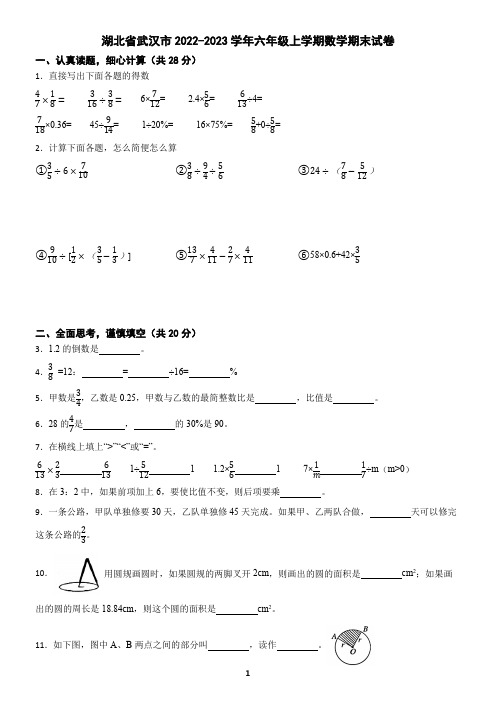 湖北省武汉市2022-2023学年六年级上学期数学期末试卷(含答案)