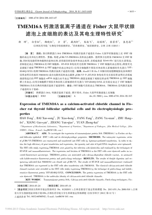 TMEM16A钙激活氯离子通道在_省略_上皮细胞的表达及其电生理特性研究_郝峰