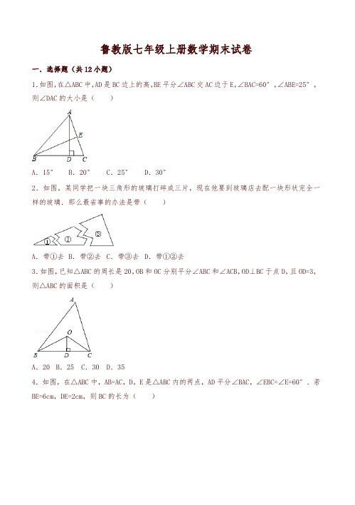 鲁教版七年级上学期数学期末试卷-精编