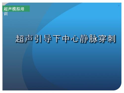 超声引导下中心静脉穿刺ppt课件