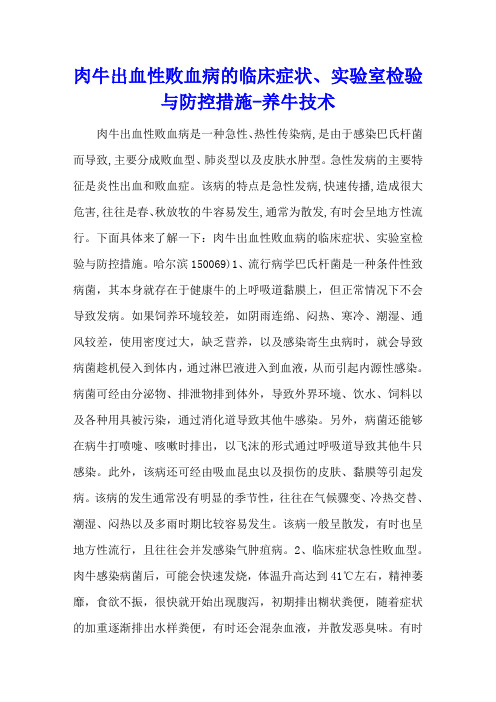 肉牛出血性败血病的临床症状、实验室检验与防控措施 - 养牛技术