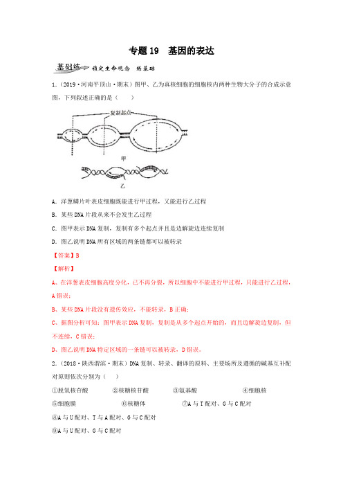 2021届高三高考生物一轮复习专题19 基因的表达(练)【含答案】