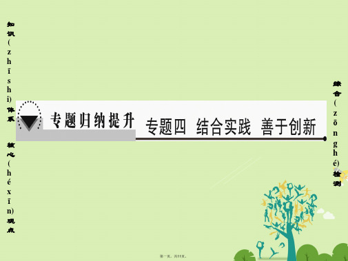 高中政治专题4结合实践善于创新专题归纳提升版课件新人教版选修4