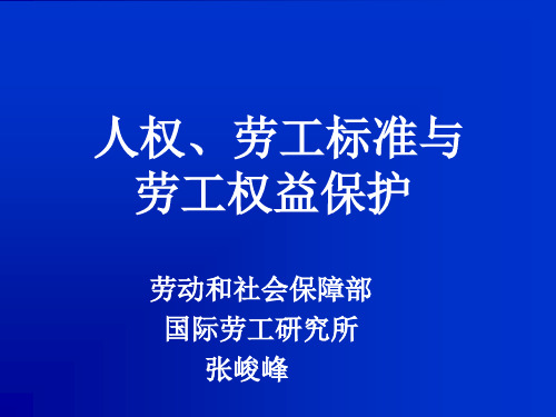 人权、劳工标准与劳工权益保护