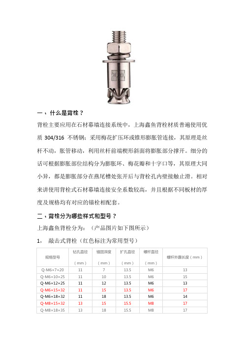 什么是背栓-专业版(可编辑修改word版)