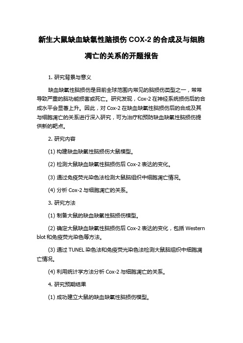 新生大鼠缺血缺氧性脑损伤COX-2的合成及与细胞凋亡的关系的开题报告