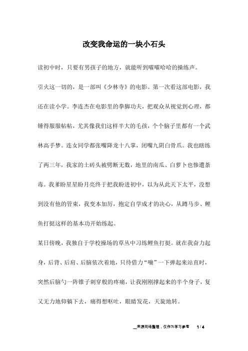 改变我命运的一块小石头_成长故事