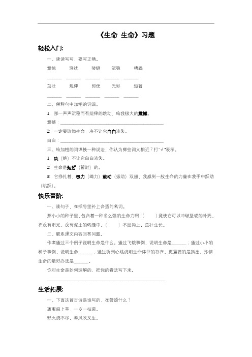 2020—2021年人教版四年级语文下册《生命 生命》2同步练习(精品试卷).doc