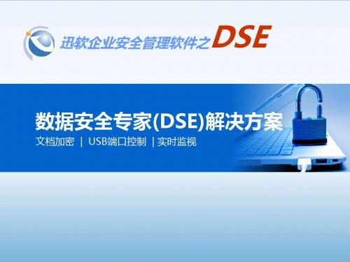 迅软数据安全(DSE)解决方案new