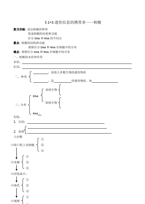 高考生物一轮复习学案 遗传信息的携带者——核酸2