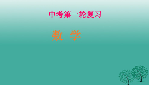 人教版初中中考数学专题复习课件PPT课件