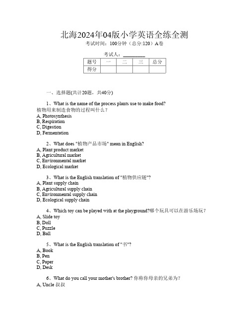 北海2024年04版小学P卷英语全练全测