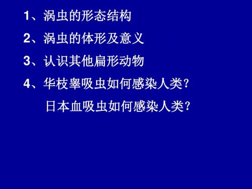 腔肠动物和扁形动物习题