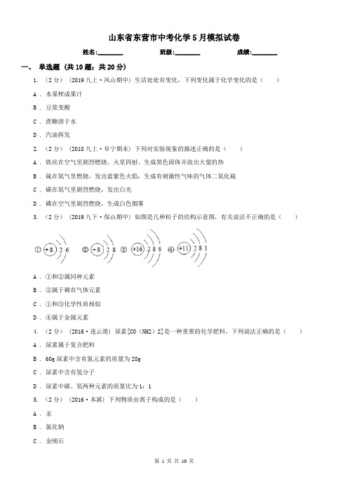 山东省东营市中考化学5月模拟试卷