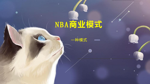 NBA商业模式