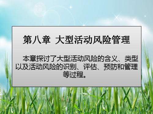 大型活动策划与管理第八章 大型活动风险管理PPT