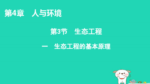 新教材高中生物第4章人与环境第3节生态工程1生态工程的基本原理课件新人教版选择性必修