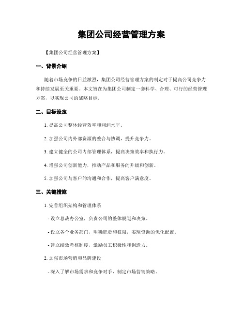 集团公司经营管理方案