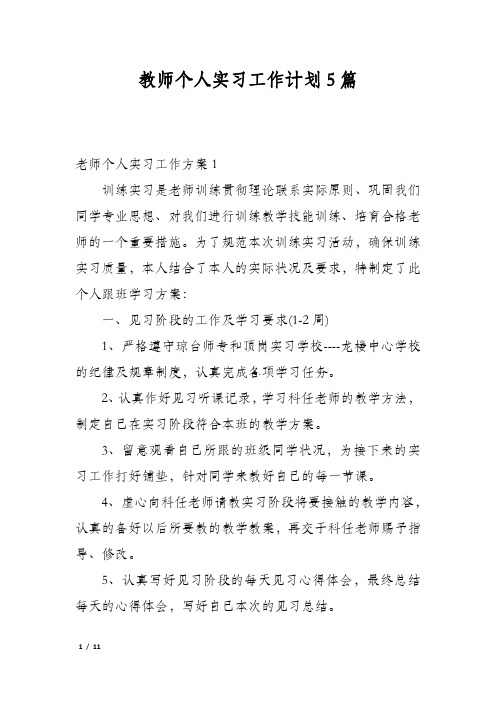 教师个人实习工作计划5篇