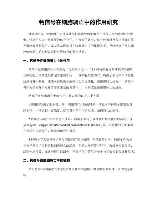 钙信号在细胞凋亡中的作用研究