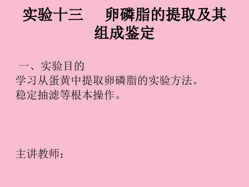 实验十三卵磷脂的提取及其组成鉴定ppt课件