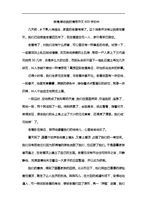 亲情,牵动我的情思作文600字初中