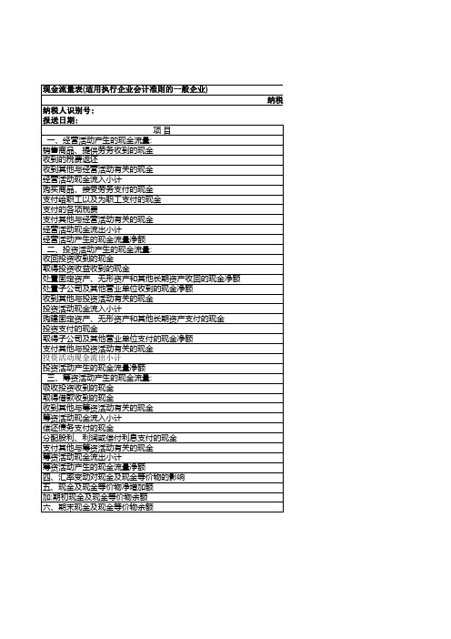 企业会计准则现金流量表