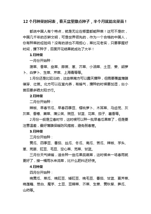 12个月种菜时间表，春天盆里撒点种子，半个月就能出菜苗！