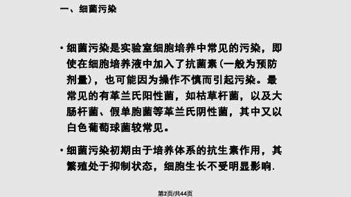 细胞培养污染及控制PPT课件