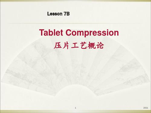 Tablet-Compression压片工艺概论-cnPPT课件