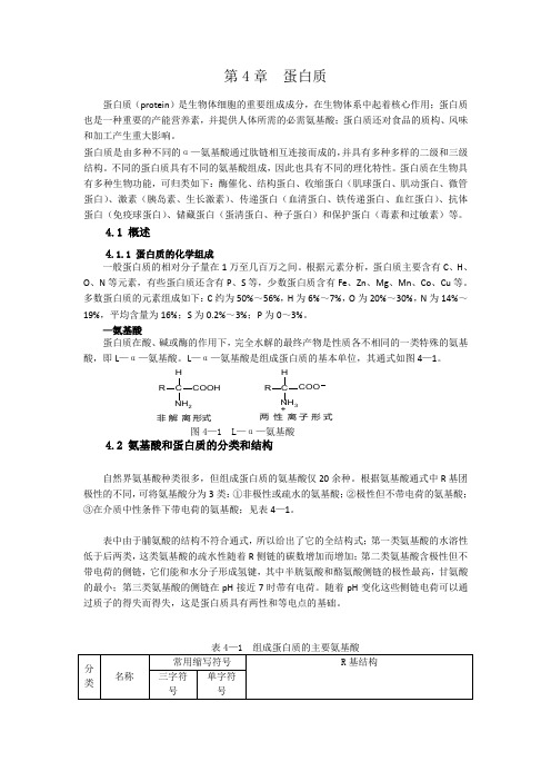 食品化学-第四章 蛋白质