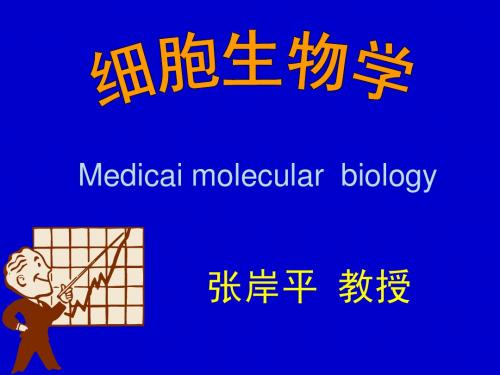 细胞生物学第四章第五章