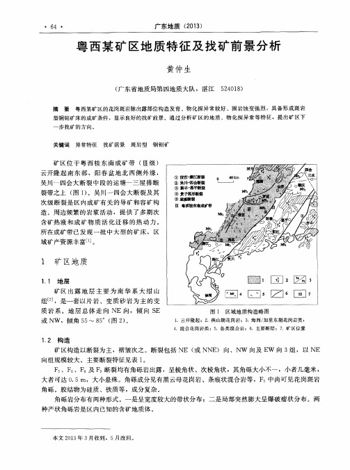 粤西某矿区地质特征及找矿前景分析