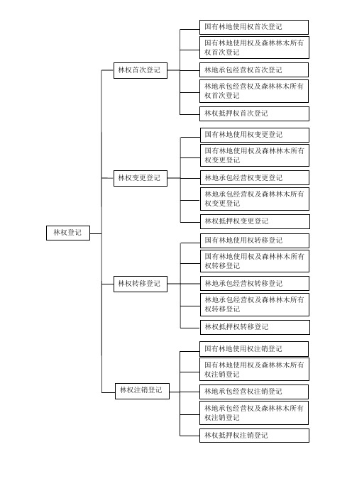 林权首次登记流程图