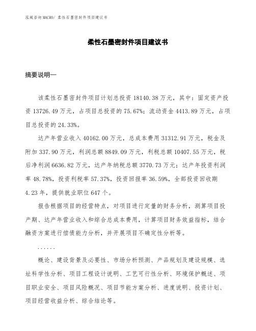 柔性石墨密封件项目建议书 (1)