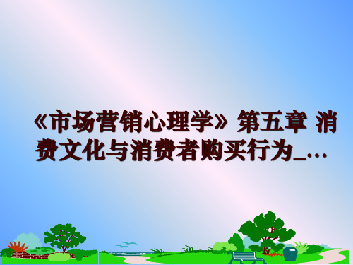 最新《市场营销心理学》第五章 消费文化与消费者购买行为_...幻灯片课件