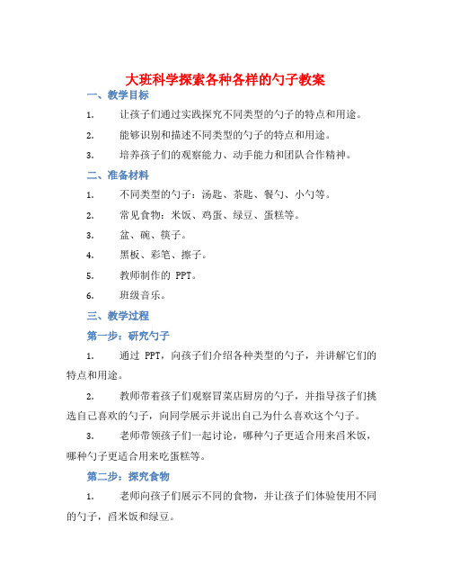 大班科学探索各种各样的勺子教案【含教学反思】