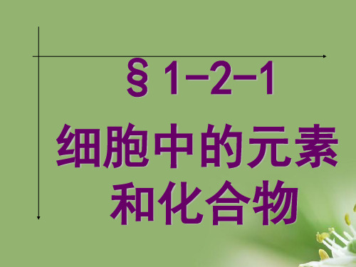 细胞中的元素和化合物ppt54 人教课标版精选教学PPT课件