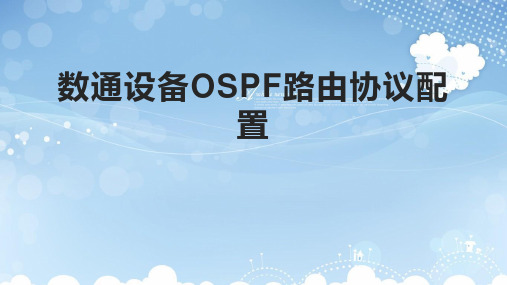 数通设备OSPF路由协议配置