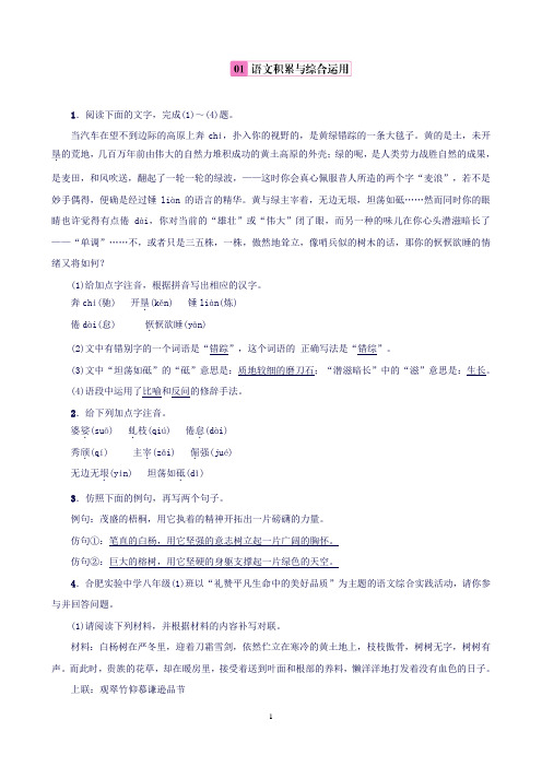 (鄂教版)九年级上册第一单元1《白杨礼赞》练习推荐(语文)