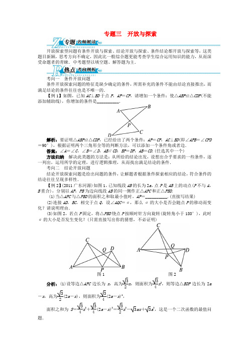 【备考 志鸿优化设计】中考数学总复习 专题讲练 专题三 开放与探索(含解析) 新人教版